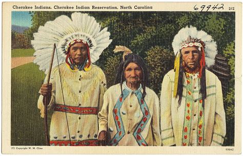 Cherokee Tribe Unity