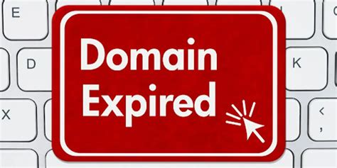 Domain Name Expiration and Renewals Illustration