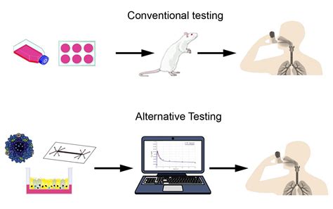 The Future of Animal Testing