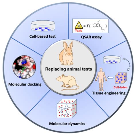 The Future of Animal Testing