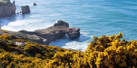 Catlins