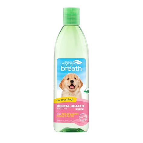 Normal Breath and Odor in Puppies