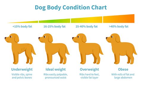 Healthy Weight in Puppies