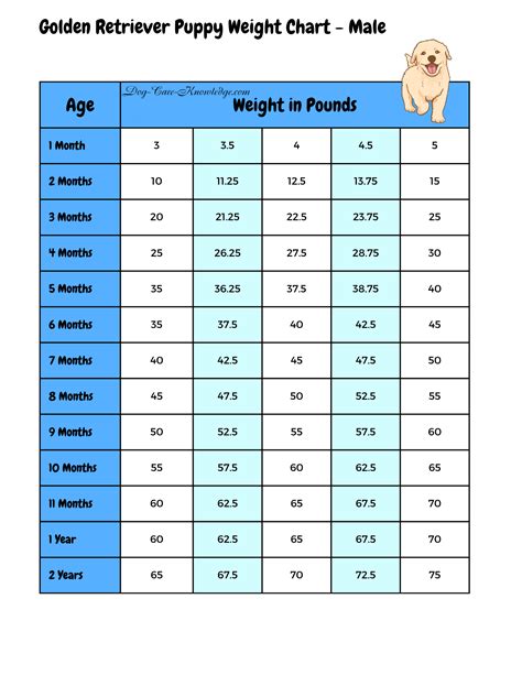 Healthy Weight in Puppies