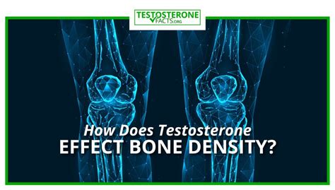 Testosterone Tablets Bone Density