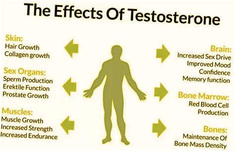 Testosterone Tablets Side Effects